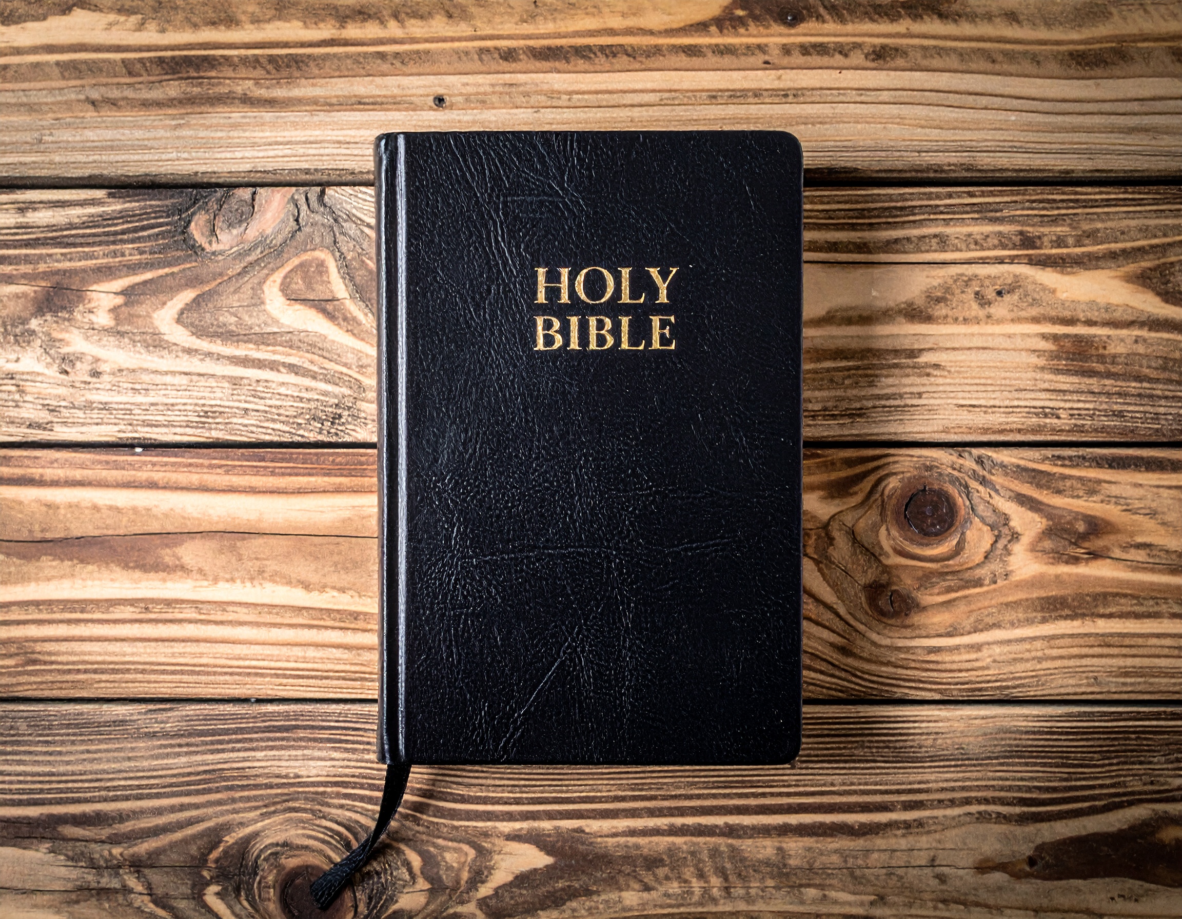 Bible Study