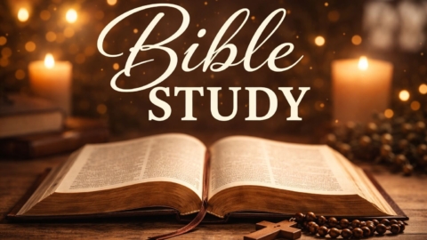 Bible Study: Acts Chapter 20+